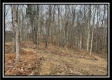 35683 Buck Run Road property photo