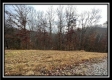 35683 Buck Run Road property photo