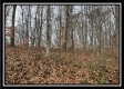 35683 Buck Run Road property photo
