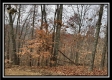 35683 Buck Run Road property photo