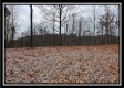 More of 35683 Buck Run Road