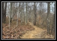 More of 35683 Buck Run Road