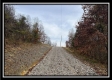 More of 35683 Buck Run Road