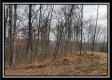 More of 35683 Buck Run Road
