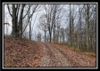 35683 Buck Run Road property photo