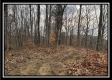 35683 Buck Run Road property photo