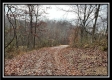 35683 Buck Run Road property photo