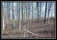 Coalton Wildlife Retreat property photo