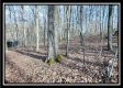Coalton Wildlife Retreat property photo