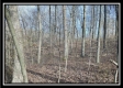 Coalton Wildlife Retreat property photo
