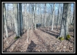 Coalton Wildlife Retreat property photo