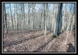 Coalton Wildlife Retreat property photo