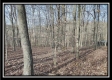 Coalton Wildlife Retreat property photo
