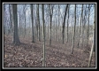 Coalton Wildlife Retreat property photo