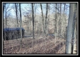 Coalton Wildlife Retreat property photo