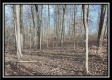 Coalton Wildlife Retreat property photo