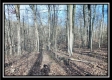 Coalton Wildlife Retreat property photo