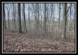 Coalton Wildlife Retreat property photo