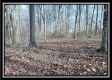 Coalton Wildlife Retreat property photo