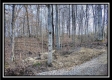 More of Coalton Wildlife Retreat