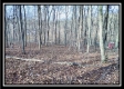 Coalton Wildlife Retreat property photo