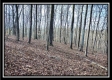 Coalton Wildlife Retreat property photo