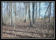 Coalton Wildlife Retreat property photo