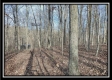 Coalton Wildlife Retreat property photo