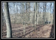 Coalton Wildlife Retreat property photo