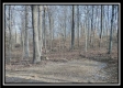 More of Coalton Wildlife Retreat