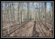 More of Coalton Wildlife Retreat