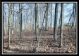 Coalton Wildlife Retreat property photo