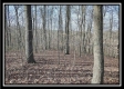 Coalton Wildlife Retreat property photo