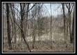 35817 Buck Run Road property photo