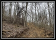 35817 Buck Run Road property photo