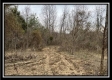 35817 Buck Run Road property photo