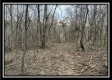 35817 Buck Run Road property photo