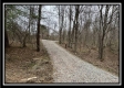 More of 35817 Buck Run Road