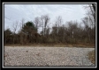 More of 35817 Buck Run Road