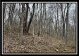 More of 35817 Buck Run Road