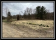 35817 Buck Run Road property photo