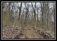 35817 Buck Run Road property photo