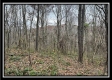 35841 Buck Run Road property photo