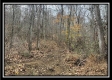 35841 Buck Run Road property photo