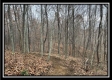 More of 35841 Buck Run Road
