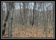 35841 Buck Run Road property photo