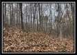 35841 Buck Run Road property photo