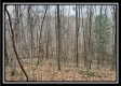 35841 Buck Run Road property photo
