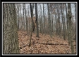 35841 Buck Run Road property photo