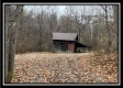 More of 35841 Buck Run Road